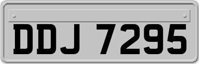 DDJ7295