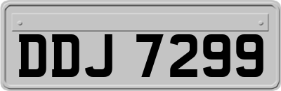 DDJ7299