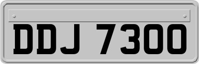 DDJ7300
