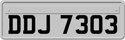DDJ7303