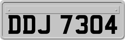 DDJ7304