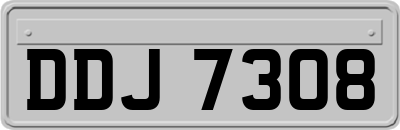 DDJ7308