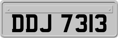 DDJ7313