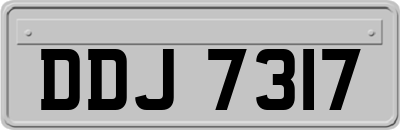 DDJ7317