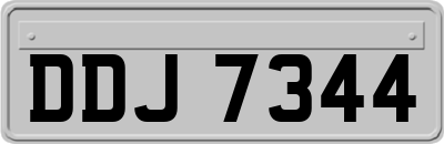 DDJ7344