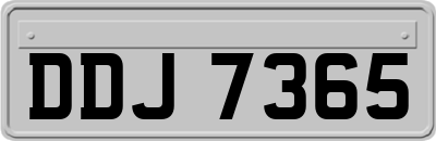 DDJ7365