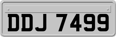 DDJ7499