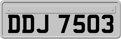 DDJ7503
