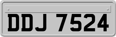 DDJ7524