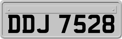 DDJ7528