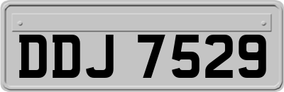 DDJ7529