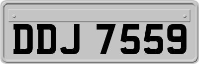 DDJ7559