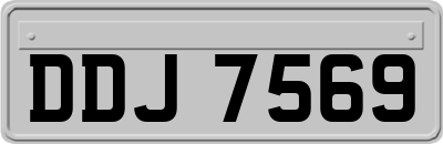 DDJ7569