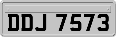 DDJ7573