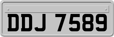 DDJ7589