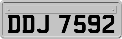 DDJ7592