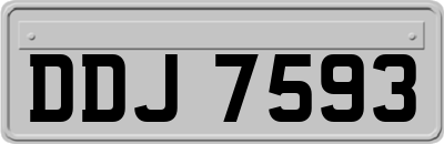 DDJ7593