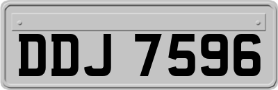 DDJ7596
