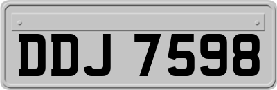 DDJ7598