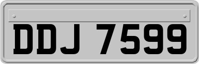 DDJ7599