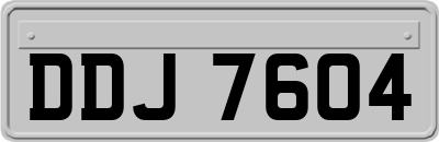 DDJ7604