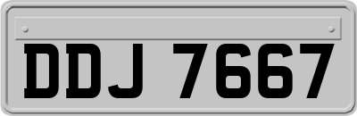DDJ7667