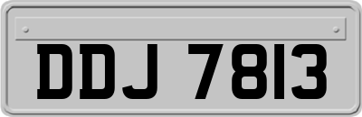 DDJ7813