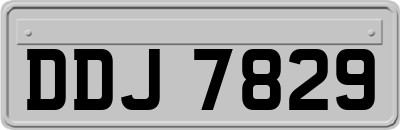 DDJ7829