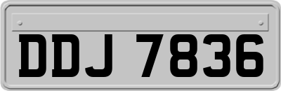 DDJ7836