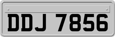 DDJ7856