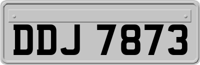 DDJ7873