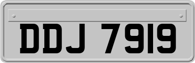 DDJ7919