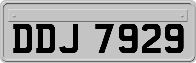 DDJ7929