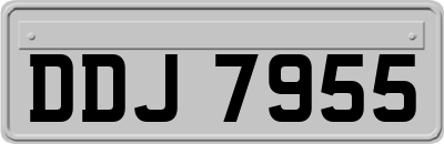 DDJ7955