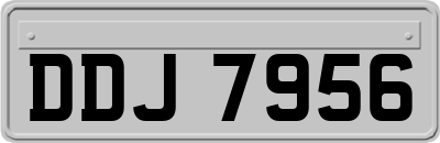 DDJ7956