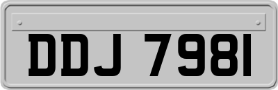 DDJ7981