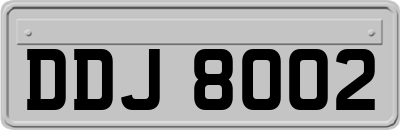 DDJ8002