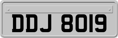 DDJ8019
