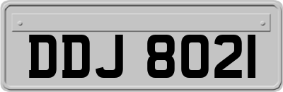 DDJ8021