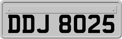 DDJ8025