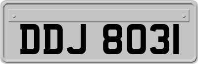 DDJ8031