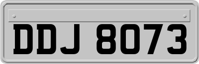DDJ8073
