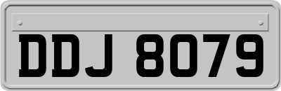 DDJ8079