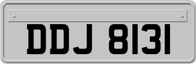DDJ8131