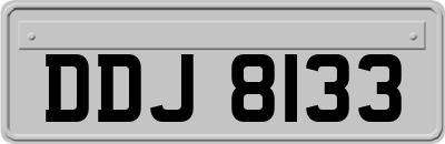 DDJ8133