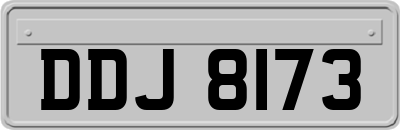 DDJ8173