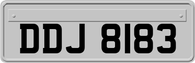 DDJ8183