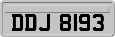 DDJ8193