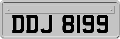 DDJ8199