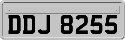 DDJ8255